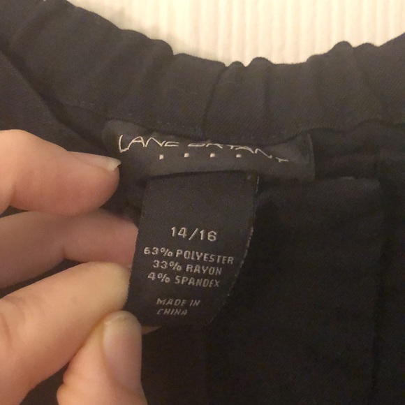 Lane Bryant pants - Picture 4 of 5